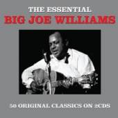 WILLIAMS BIG JOE  - 2xCD ESSENTIAL