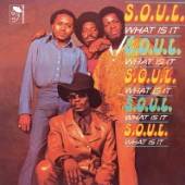  SOUL WHAT IS IT [VINYL] - supershop.sk