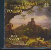 TRIO CANTABILE  - CD ADAGIO-TRIO