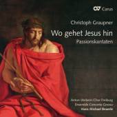 BEUERLE/ENSEMBLE CONCERTO GROS  - CD WO GEHET JESU HIN CANTATAS