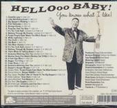  HELLO BABY - YOU WHAT I LIKE! // 52PG. BOOKLET -DIGI- - supershop.sk