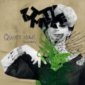  QUIET NOW-OR NOT [VINYL] - supershop.sk