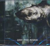 DRY THE RIVER  - CD SHALLOW BED