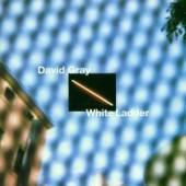 DAVID GRAY  - CD WHITE LADDER