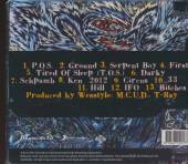  HED P.E. / =1997 DEBUT FOR CALIFORNIAN RAPCORE P.E.(PLANET EARTH)= - suprshop.cz