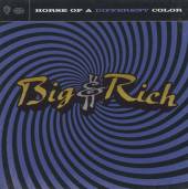 BIG & RICH  - 2xCD HORSE OF A DIFFERENT COLOR