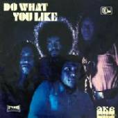 AKA  - CD DO WHAT YOU LIKE