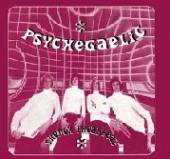 VARIOUS  - CD PSYCHEGAELIC