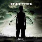 CARPTREE  - VINYL NYMF [VINYL]