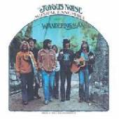 JOYOUS NOISE  - CD WANDERING MAN