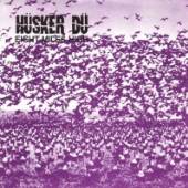 HUSKER DU  - SI EIGHT MILES HIGH /7