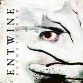 ENTWINE  - CD PAINSTAINED