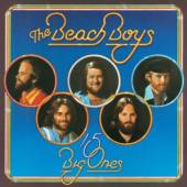 BEACH BOYS  - CD 15 BIG ONES