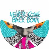  NEVER COME BACK DOWN [VINYL] - suprshop.cz