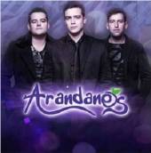  ARANDANOS - suprshop.cz