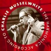  HARMONICA ACCORDING TO CHARLIE MUSSELWHITE - suprshop.cz