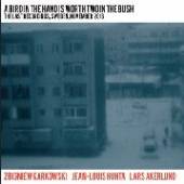 ZBIGNIEW KARKOWSKI  - CD A BIRD IN TH