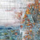 EXPLOSIONS IN THE SKY  - 2xVINYL WILDERNESS [VINYL]