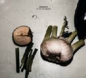  STILL LIFE WITH EGGPLANT [VINYL] - suprshop.cz