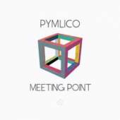 PYMLICO  - VINYL MEETING POINT (LP+CD) [VINYL]