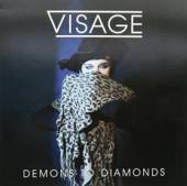  DEMONS TO DIAMONDS [VINYL] - suprshop.cz