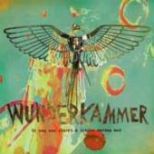 WUNDERKAMMER  - VINYL GI MEG NOE STE..