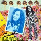 LINDLEY DAVID  - CD MR. DAVE (2016 REISSUE)