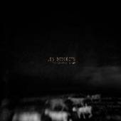 LES DISCRETS  - VINYL VIREE NOCTURNE [VINYL]