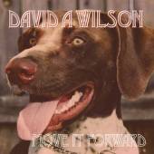 DAVID A WILSON  - CD MOVE IT FORWARD