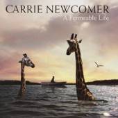 NEWCOMER CARRIE  - VINYL A PERMEABLE LIFE (VINYL) [VINYL]