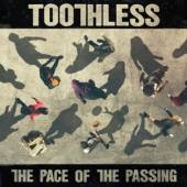  PACE OF THE PASSING [VINYL] - supershop.sk