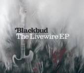 BLACKBUD  - CM LIVEWIRE -3TR-