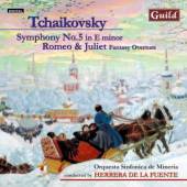 TCHAIKOVSKY P.I.  - CD SYMPHONY NO.5 IN E MINOR