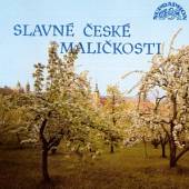 SYMFONICKY ORCHESTR HL.M. PRAH..  - CD SLAVNE CESKE MALICKOSTI