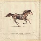 TURNPIKE TROUBADOURS  - VINYL A LONG WAY.. -BONUS TR- [VINYL]