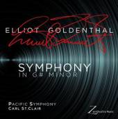  SYMPHONY IN G MINOR -LTD- [VINYL] - suprshop.cz