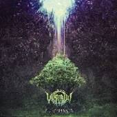  ILLUMINANCE -GATEFOLD- [VINYL] - suprshop.cz