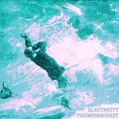 THUMPERMONKEY  - CD ELECTRICITY -4TR-