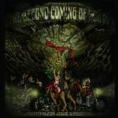  SECOND COMING OF HEAVY [VINYL] - suprshop.cz