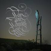 WEAR YOUR WOUNDS  - CD WYW