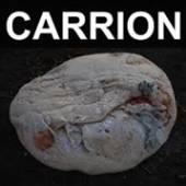  CARRION [VINYL] - suprshop.cz