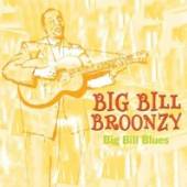  BIG BILL BLUES - supershop.sk