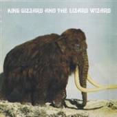 KING GIZZARD & THE LIZARD  - VINYL POLYGONDWANALAND [VINYL]