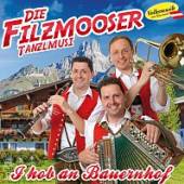 DIE FILZMOOSER TANZMUSI  - CD I HOB AN BAUERNHOF