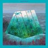 OKKERVIL RIVER  - VINYL IN THE RAINBOW RAIN LTD [VINYL]