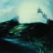 BESNARD LAKES  - VINYL UNTIL IN EXCESS,.. [VINYL]