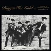  DIGGIN' FOR GOLD VOL.2 [VINYL] - suprshop.cz