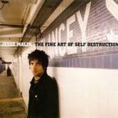  FINE ART OF SELF DESTRUCTION -LTD- - supershop.sk