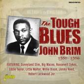 BRIM JOHN  - CD DETROIT TO CHICAGO -..