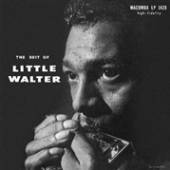  BEST OF LITTLE WALTER [VINYL] - suprshop.cz